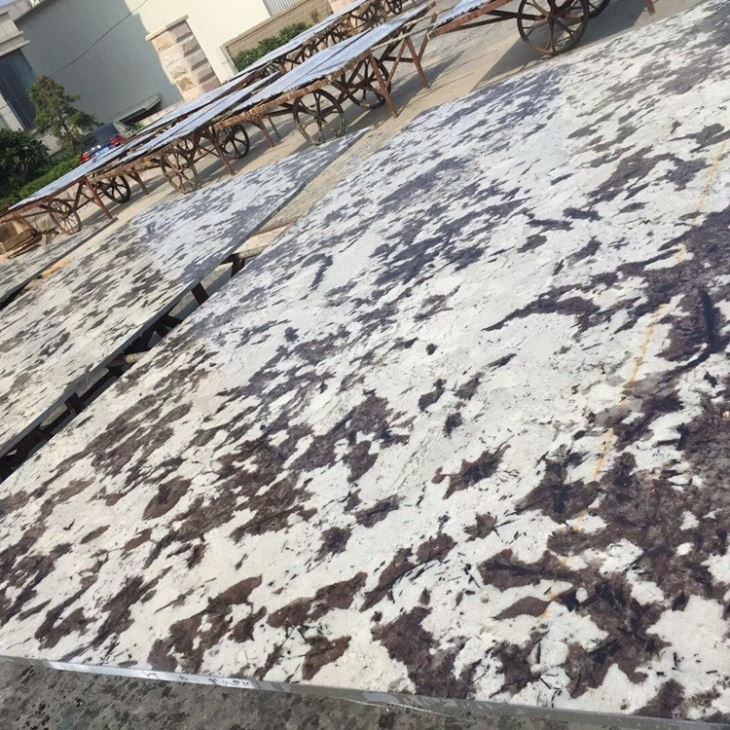 Polished Delicatus White Granite Slabs (5) Polished Delicatus White Granite Slabs (5)